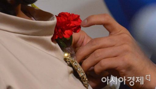 [포토]카네이션에 사랑을 담아 