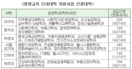 "취업 후 대학 진학"…성인·직장인 대상 단과대 6곳 신설