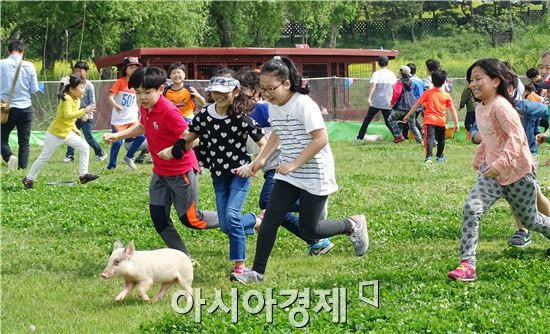 5일 어린이날을 맞아 함평나비축제가 열리고 있는 함평엑스포공원에 전국에서 관광객들이 몰려들어 인산인해를 이루었다. 이날 어린이들이 가축몰이 체험을 하면서 즐거운 시간을 보내고있다.