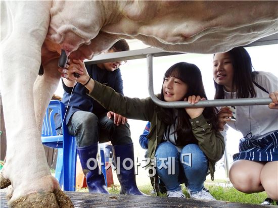5일 어린이날을 맞아 함평나비축제가 열리고 있는 함평엑스포공원에 전국에서 관광객들이 몰려들어 인산인해를 이루었다. 어린이들을 젖소목장에서 젖소 우유짜기 체험을 하고있다.