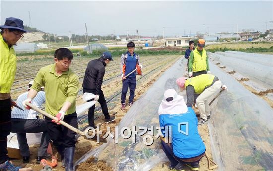 진도군, 2016 농촌일손돕기 본격 추진