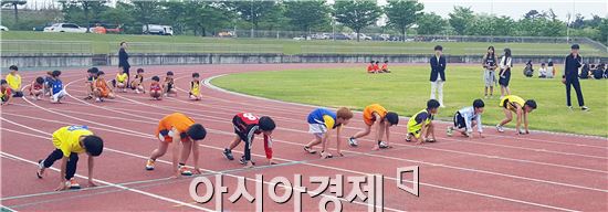 함평교육지원청,“교육장기 학년별 육상경기대회”개최