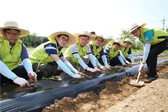 NH투자증권이 12일 민통선 접경 지역인 경기도 파주시 문산읍 당동2리를 방문해 일손이 부족한 농가의 전답 2500평에서 2만여구의 고추식재 작업을 진행했다.<사진=NH투자증권>