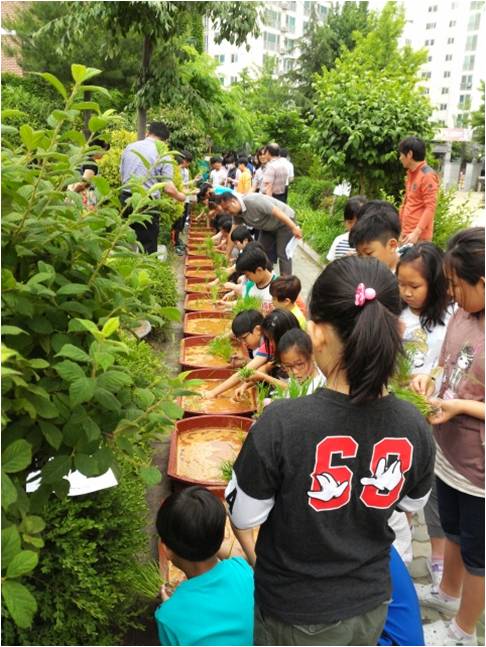 노원 초등학생들 도심서 친환경쌀 생산 체험