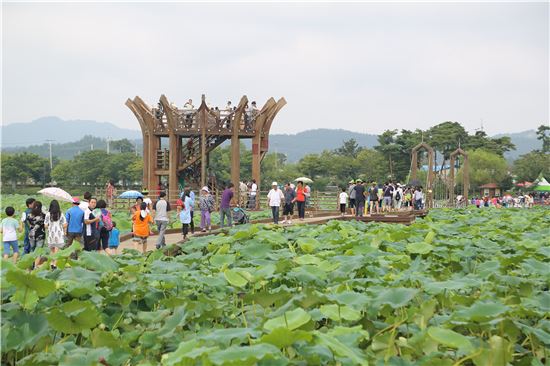 전남 무안군(군수 김철주)은 오는 8월 12일부터 15일까지 4일간 무안군 일로읍 회산백련지 일원에서 ‘제20회 무안연꽃축제’를 개최한다.