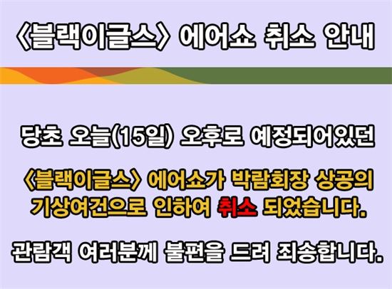 세계친환경디자인박람회, 블랙이글스 에어쇼 기상 악화로 긴급 취소