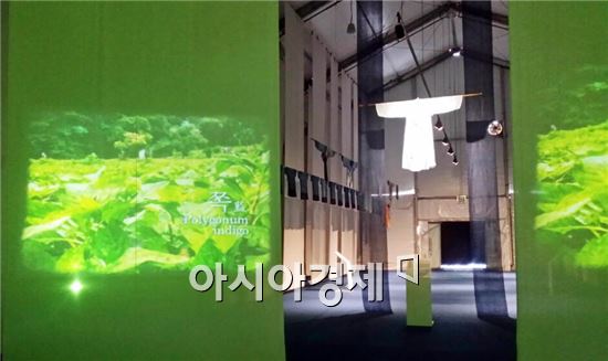 한국의 색과 빛, 천연염색! 세계를 물들이다