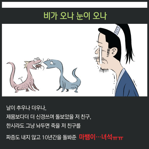 [카드뉴스]도마뱀의 사랑