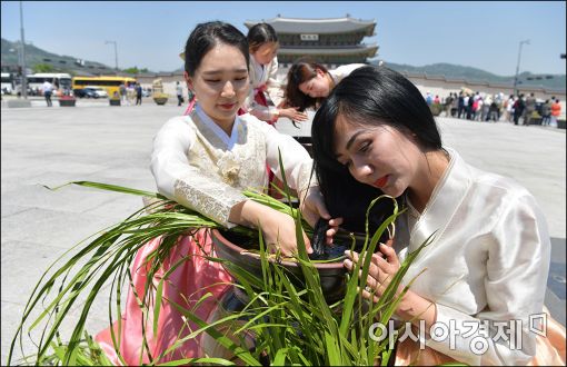 [포토]'광화문에서 강릉단오제를 만나다'
