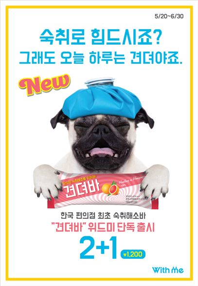 위드미, 업계최초 숙취해소 아이스크림 '견뎌바' 출시 