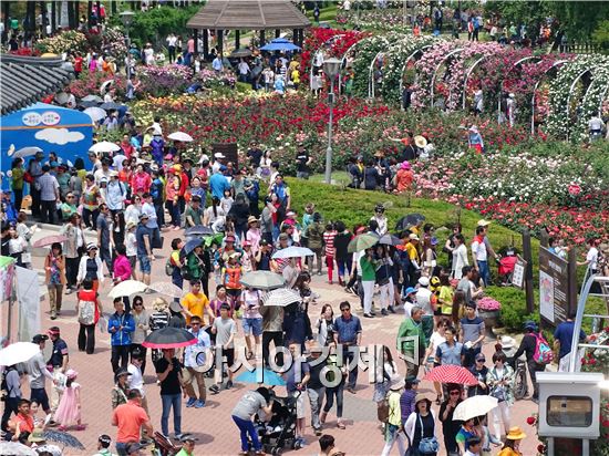 [포토]곡성장미축제~휴일인파 '인산인해'