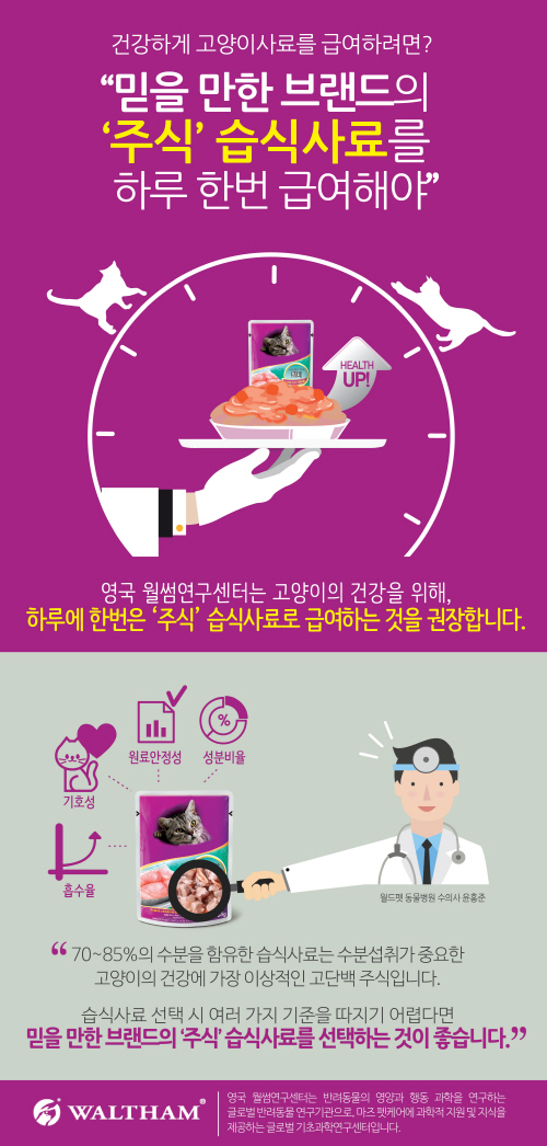 고양이사료