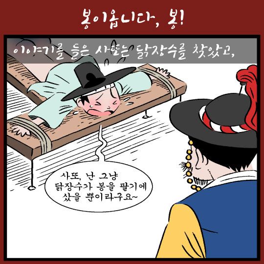 [카드뉴스]김선달! '봉이'는 뭔뜻이여?