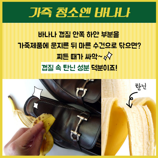 [카드뉴스]인간과 DNA 50% 같다, '바나나'의 기적