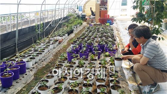 곡성에서 채리커피 한 잔으로 호사 누린다