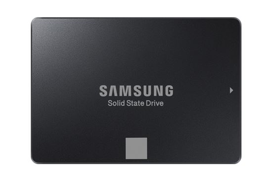 삼성전자, 보급형 SSD 라인업 확대
