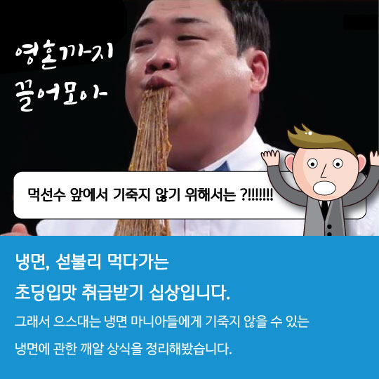 [카드뉴스]'냉면의 진실' 이쯤 썰 풀면 당신도 고수