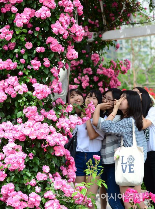 [포토]장미소녀들 