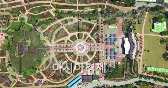 화려한 하늘정원 펼쳐진 곡성 1004 장미공원