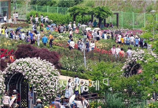 [포토]곡성장미향기 인파 '북적'