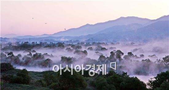 곡성군, 섬진강 침실습지 국가지정 위한 주민 공청회 개최