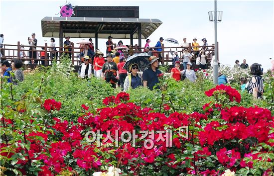 [포토]빨간 장미 관광객 유혹