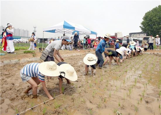 학교에서 먹는 쌀 어디에서 올까?