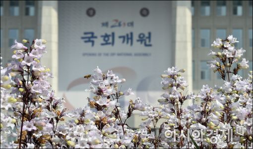 [포토]20대국회 임기 시작