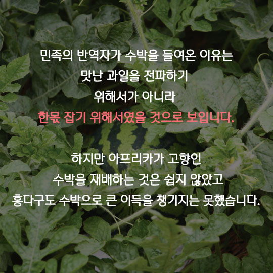 [카드뉴스]나를 '수박같은 남자'라는데 뭔뜻이죠?