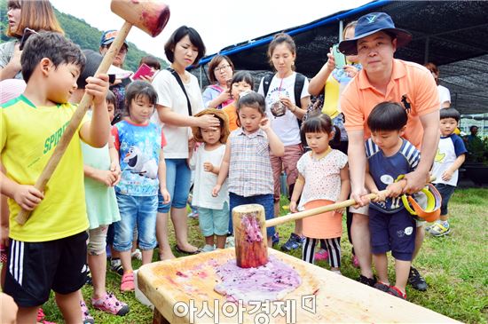 순창의 6월, 보랏빛 블루베리 어울마당 개최