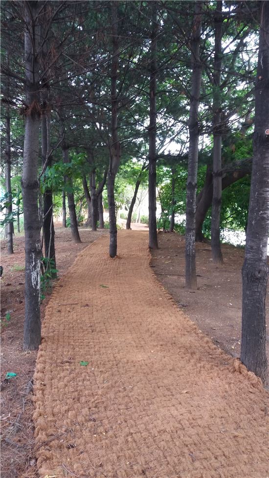 노들나루공원 산책로 