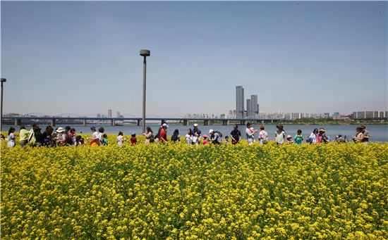 한강봄꽃축제 29일 종료…434만 시민 찾아