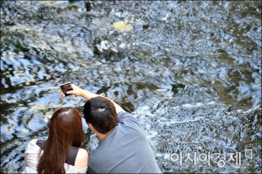 [포토]청계천 데이트
