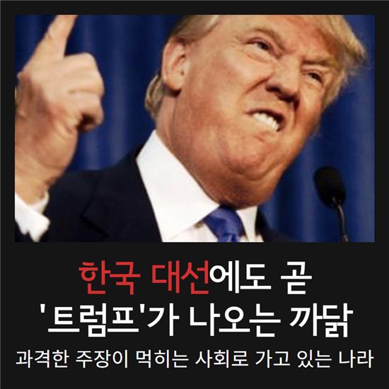 [카드뉴스]한국에도 '트럼프 출현설' 까닭은