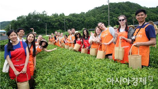 황금연휴~이방인들 보성의 녹차향에 빠져 들다