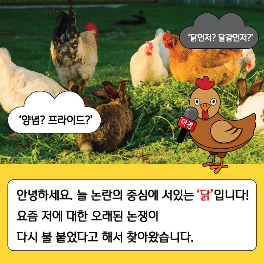 [카드뉴스] 정말 아리송해 닭도리탕