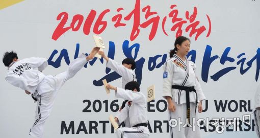 [포토]화려한 공중 격파 