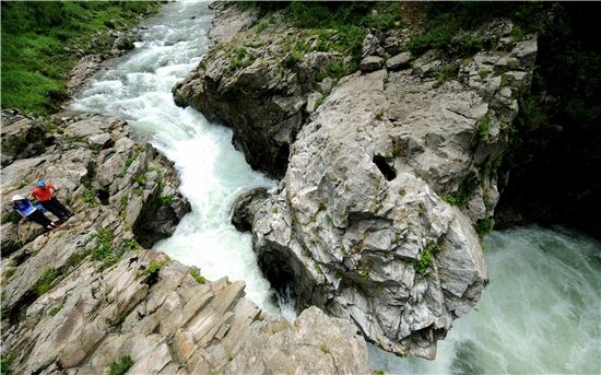 [여행만리]철책선·지뢰밭…상흔이 지켜준 원시자연