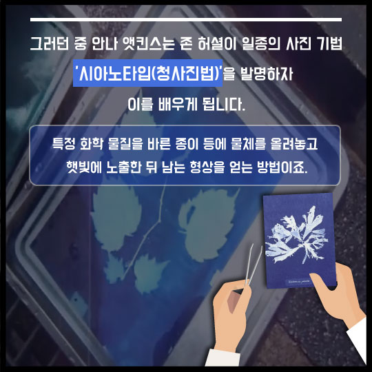 [카드뉴스]1800년대에 여성 사진작가는 뭘 찍었을까