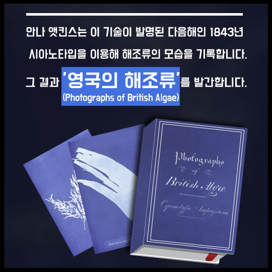 [카드뉴스]1800년대에 여성 사진작가는 뭘 찍었을까
