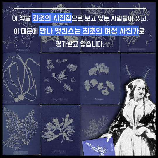 [카드뉴스]1800년대에 여성 사진작가는 뭘 찍었을까