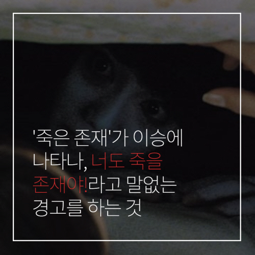 [카드뉴스] 귀신은 왜 무서운가