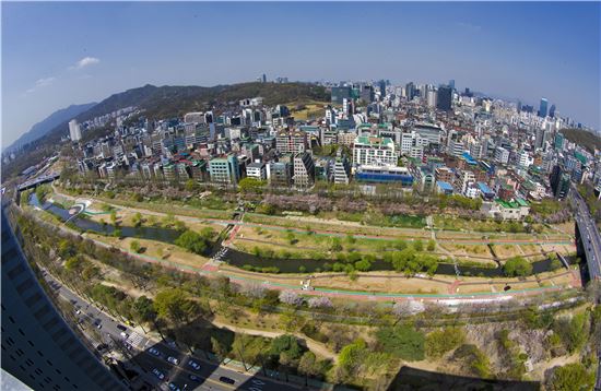 양재천의 화려한 변신...걷기한마당·행복음악회 열어 