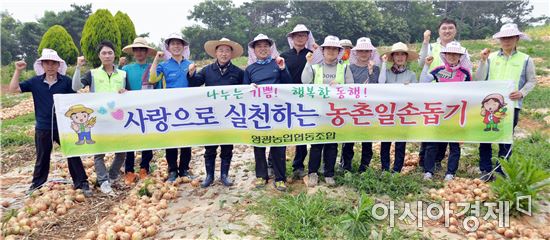 전남농협, 농심(農心)가득~ 일손돕기에 구슬땀~