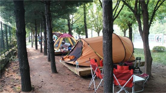 서울숲 캠핑장 