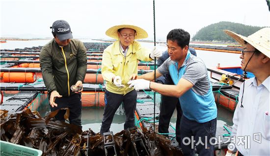 해남군, ‘이른 무더위에 적조 우려’  어업현장 점검