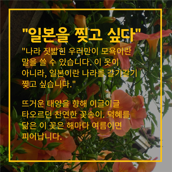 [카드뉴스]덕혜옹주를 닮은 꽃, 능소화