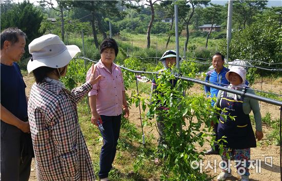 함평군 新소득작목 ‘대추’현장교육 전개