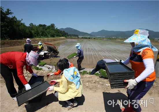 장흥군(군수 김성)은 이달부터 시작된 농업인 월급제 시범사업 시행에 따라  20일 첫 월급을 지급했다.