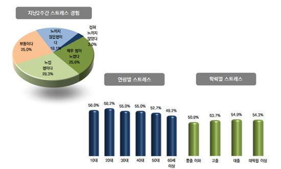 [서울서베이④]"사회 전반 공평하지 않다"…스트레스 20대가 가장 높아